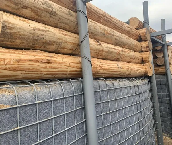 На Рівненщині будують оборонні рубежі на кордоні з Білоруссю (фото)