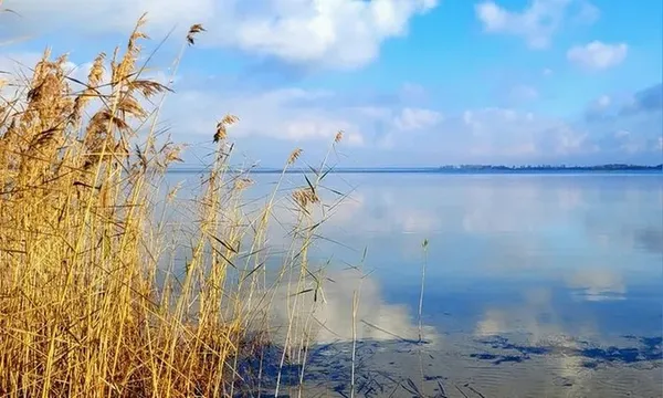 Куди поїхати біля Луцька восени: найкращі місця для осінніх пригод