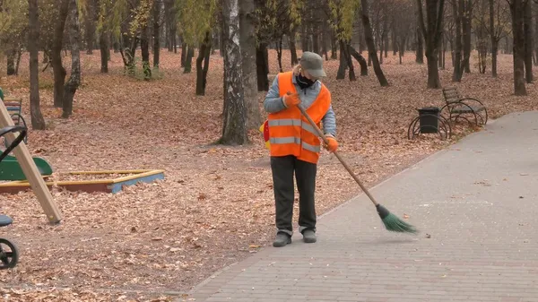 Куди зникає опале листя з Луцька і скільки це коштує (відео)
