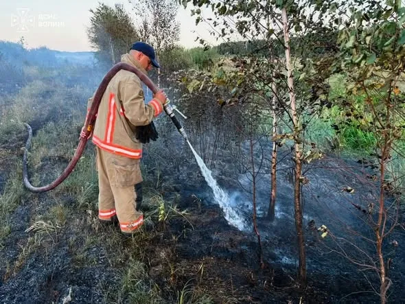 На Волині майже добу гасили пожежу торфу (фото)