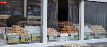На Волині подорожчали яйця: скільки коштує десяток на ринку та в супермаркетах (відео)