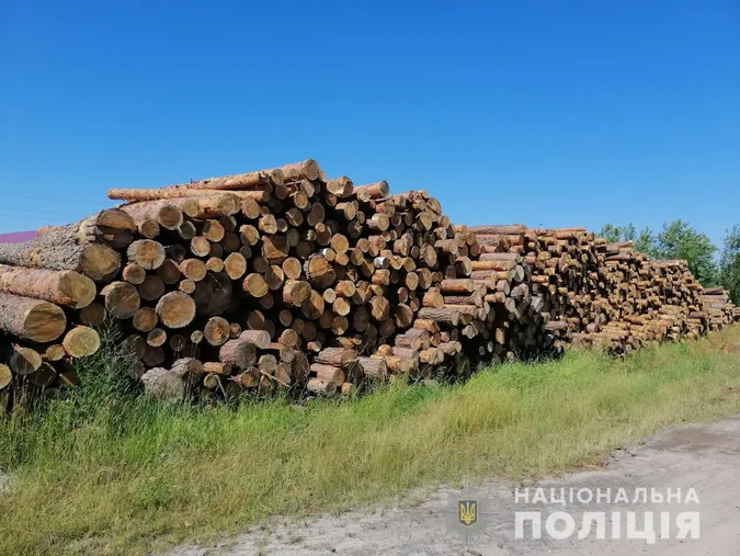 На Камінь-Каширщині – масштабні обшуки: шукають «лівий» ліс (фото)