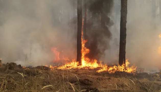 В Україні зросли штрафи за порушення пожежної безпеки
