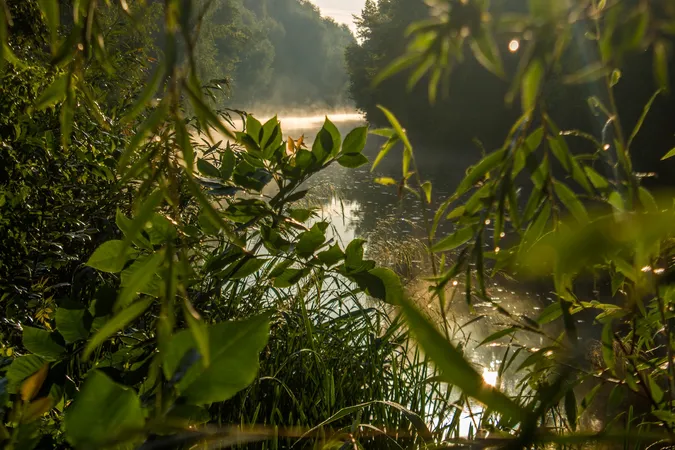 Безмежно-бездонне умиротворення: ранковий Луцьк наприкінці літа (фото)