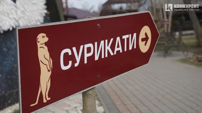 Бентежні носики та ніжні квіти: весна у Луцькому зоопарку (фото)