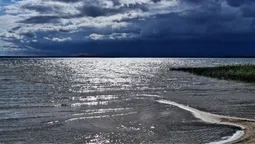 Світязь вразив незвичним видовищем: вода в озері стала схожою на рідке срібло (фото)
