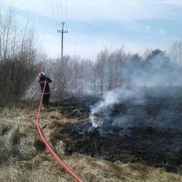 На Волині знову горіли чагарники: за добу – п’ять пожеж (фото)