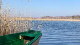 На Волині є невелике мальовниче озеро, де водиться багато риби