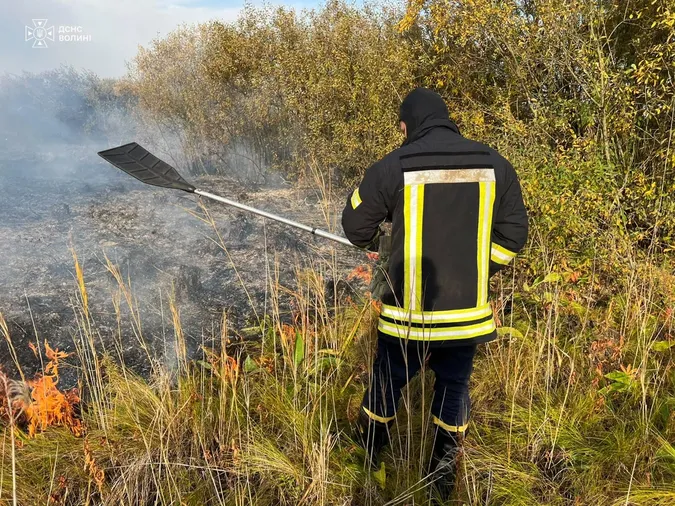 Вогонь охопив 6,2 га: на Волині горіли суха трава, очерет і лісова підстилка (фото)