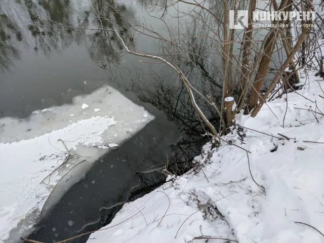 Не пускали зігрітися і не брали таксисти: як лучанин рятував собаку з крижаної води (фото)