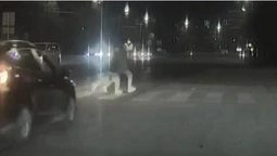 Їхав на «червоний»: у Луцьку автомобіль ледь не збив людей на переході (відео)
