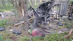 Поїхали по чорниці: на Житомирщині авто підірвалося на міні (фото, відео)