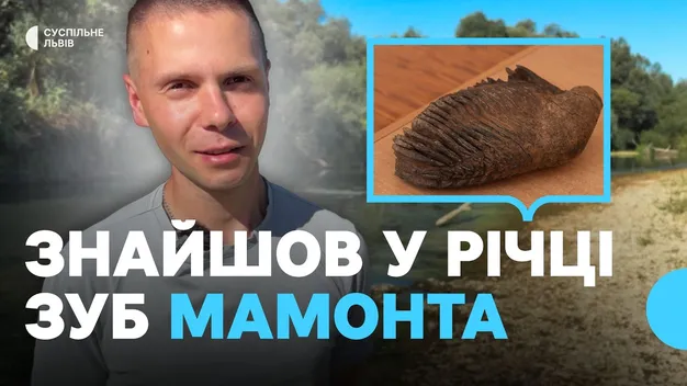 На Львівщині знайшли «законсервований» зуб мамонта: знахідка важить майже 7,5 кг (фото, відео)