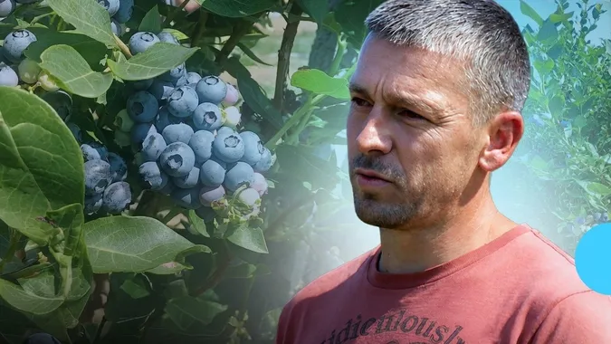 Після поранення на фронті ветеран з Волині започаткував ягідний бізнес (відео)