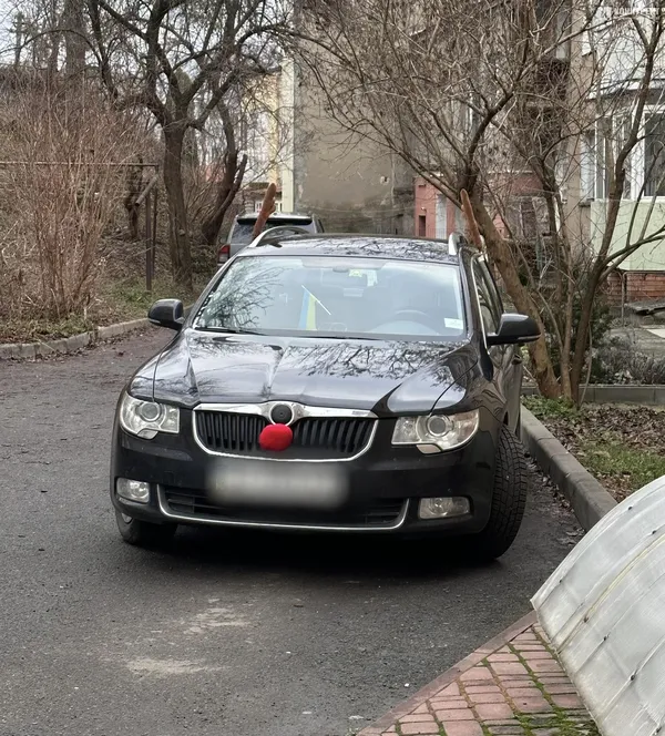 У центрі Луцька помітили справжнього новорічного оленя (фото)