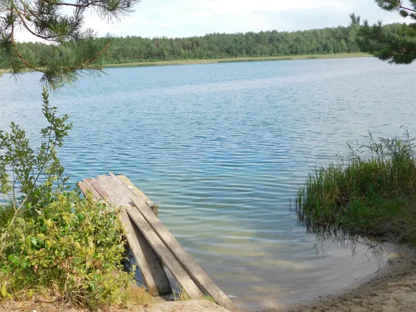 Морські пляжі посеред лісу: на Поліссі причаїлося глибоке озеро з цілющою водою (фото)