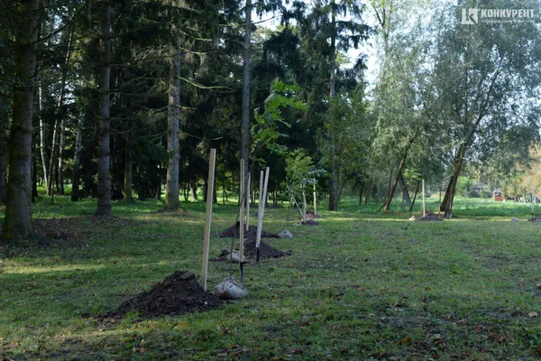 Другий день «Фронтери» у Луцьку: як це було (фото)