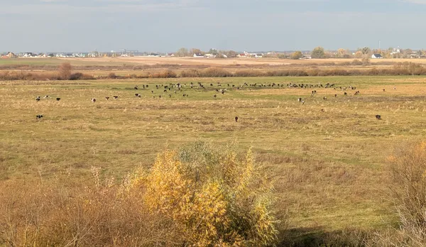 Церква, де молилася Леся, та Яловичівські крутосхили: найгарніші місця біля Луцька (фото)