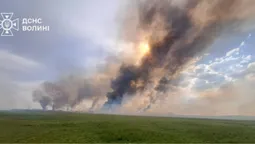 🔥Дим стояв до неба: за добу на Волині горіли поля, чагарники та торф’яники (фото)
