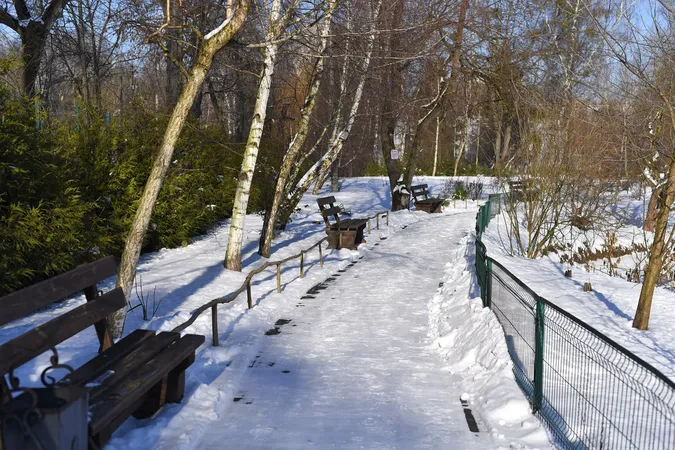 Як зустрічають сніг мешканці Луцького зоопарку (фото)
