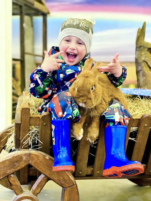У «Промінь» приїздить виставка вухастих і пухнастих «Братик Кролик» (фото)*