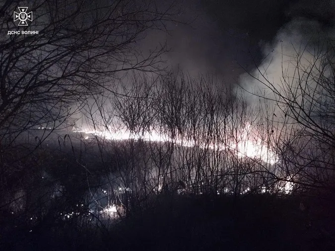 На Волині за добу вигоріли гектари трави: вогонь дістався навіть дачного будинку (фото)