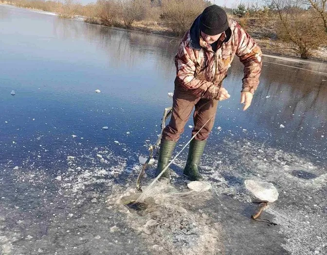 На Волині визволили птаха, який потрапив у браконьєрську сітку