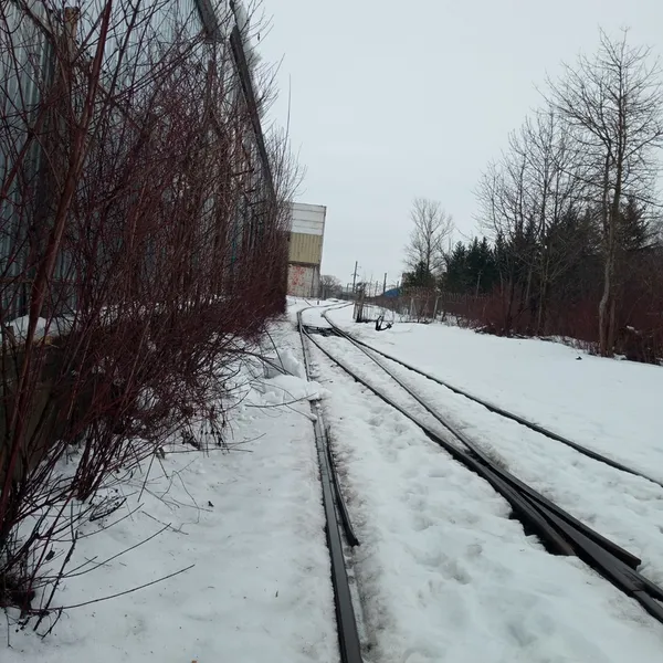 На Волині здають в оренду залізничну колію: що коїться (фото)