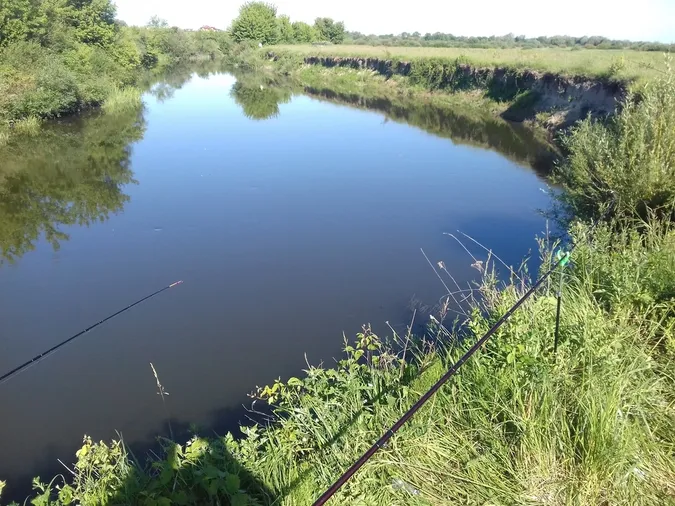 Ловиться і щука, і карась: біля Луцька є безкоштовна спокійна локація на Стиру для рибалок