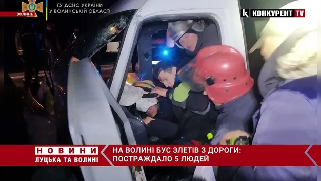 П'ятеро постраждалих: на Ковельщині бус протаранив дерево (фото, відео)