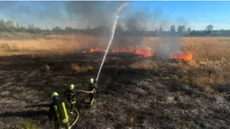 Горіли чагарники та очерет: на Волині загасили 10 пожеж (фото)