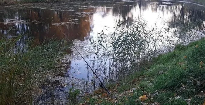 У Луцьку муніципали ганяли рибалок у центральному парку (фото)
