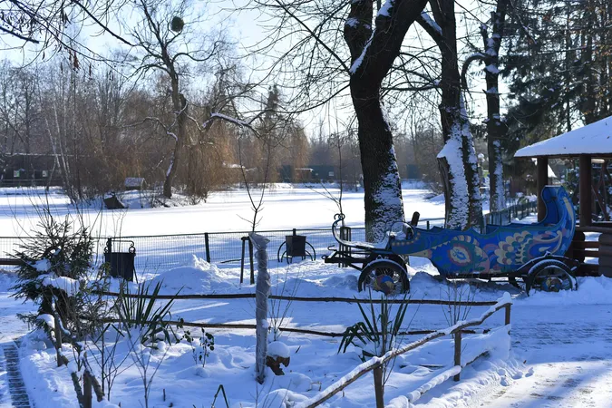 Як зустрічають сніг мешканці Луцького зоопарку (фото)