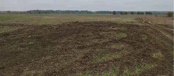 На Волині любителі дрифту нищать засіяні поля: фермери звернулися до поліції (фото)