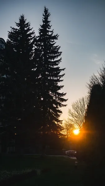 Трохи сонця, кольорів і тепла: листопад на вулицях Луцька (фото)