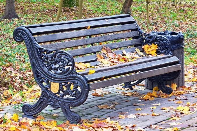 Жовтогаряча осінь у луцькому парку (фото)