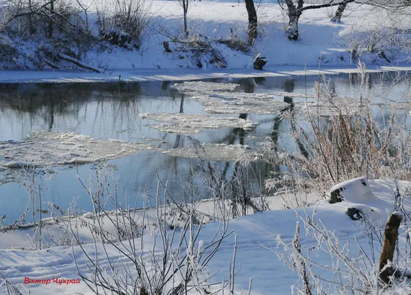 Луцький фотограф показав красу морозного та засніженого міста (фото)