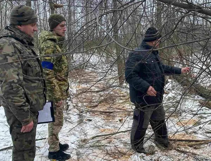 На Волині виявили самовільну рубку дерев: що чекає на порушників (фото)