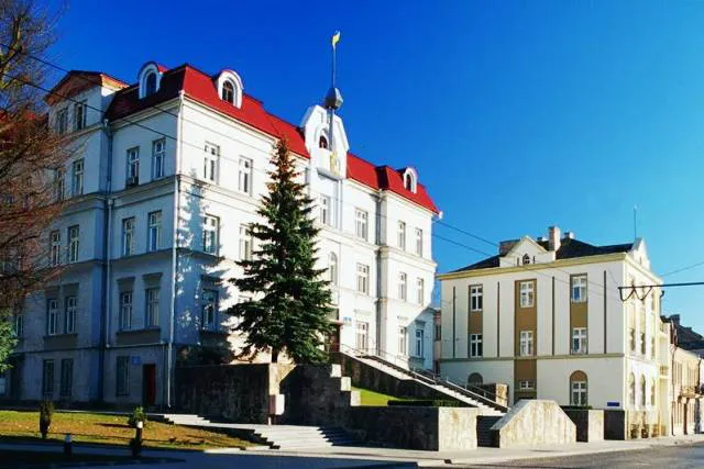 Під час війни депутати Луцькради зможуть проводити сесії дистанційно