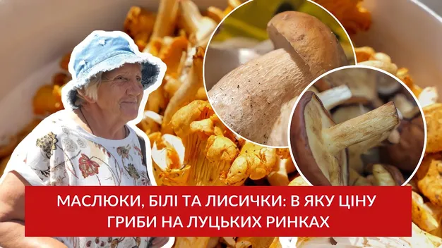 Білі, маслюки та лисички: скільки на луцькому ринку коштують гриби (відео)