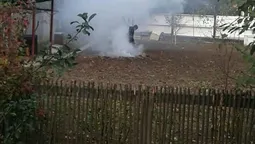 Не доходить: лучани й досі палять сухе листя (фото)
