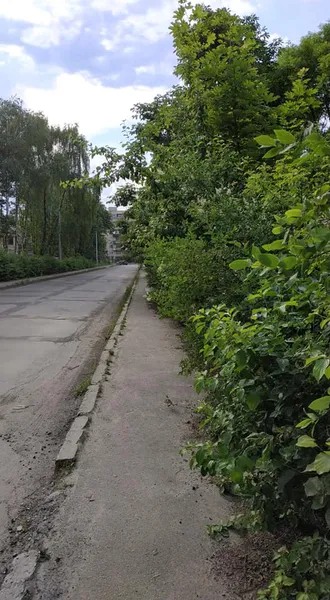 Шприци, пляшки і навіть унітаз: у Луцьку замість стежки – смуга перешкод (фотофакт)