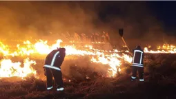 На Волині невідомі підпалили 3 гектари сухої трави та очерету (фото)