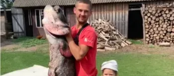 У річці Стир спіймали гігантського сома (фото)