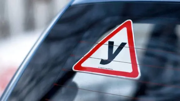Цифра приголомшує: скільки у Луцьку заробляють інструктори з водіння