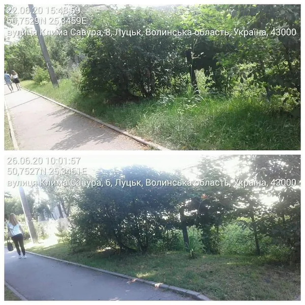Не вище 15 сантиметрів: лучан змусили скосити траву (фото)