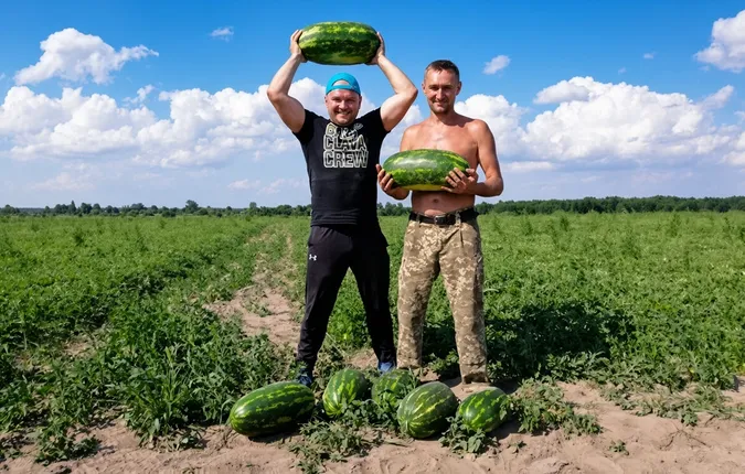 Не гірші за херсонські: на Волині фермер зібрав 120 тонн солодких кавунів з двох гектарів (фото)