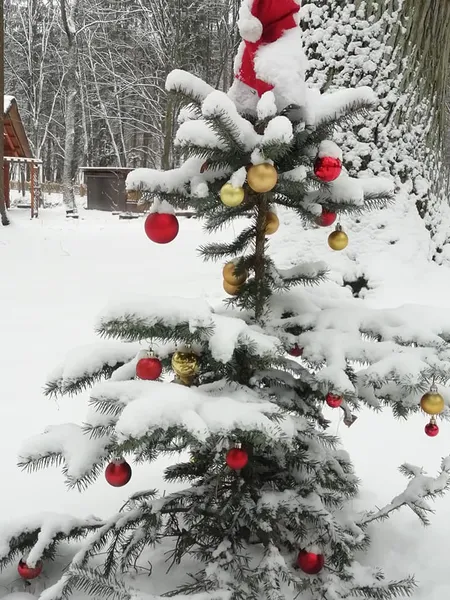 Показали казкову зиму у воротнівському лісі (фото)