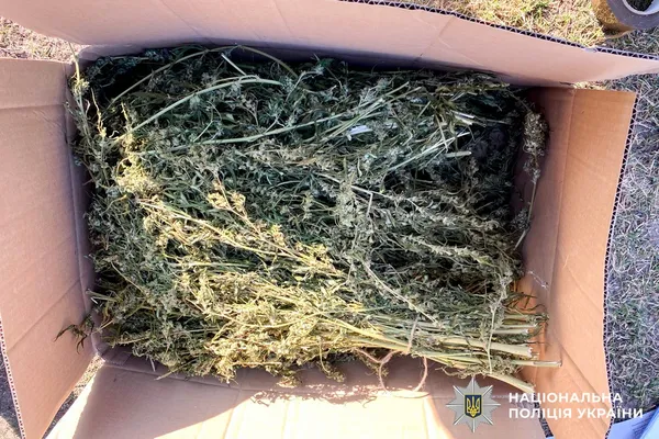 Ховали банки з «травою» в ямах: на Поліссі викрили мільйонний наркобізнес (фото)