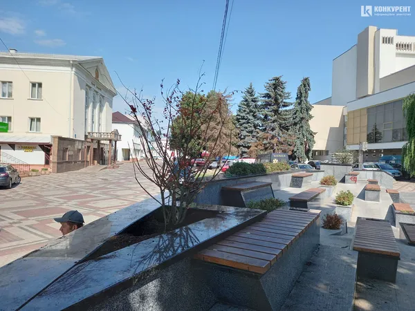 Навколо нового фонтану в центрі Луцька висохла зелень (фото)